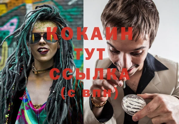 стафф Алексин